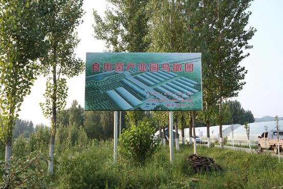 “菌生南阳,豫见统计”实践团走访当地农产品种植地